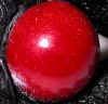 DSCN4051.JPG (47358 bytes)