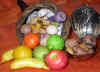 DSCN5090.jpg (88002 bytes)