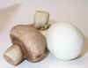 DSCN5302.JPG (48178 bytes)