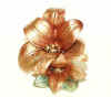 lily.jpg (46111 bytes)