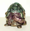 shell1.jpg (62565 bytes)