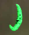 DSCN0031.JPG (48198 bytes)