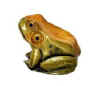 Frog.jpg (4901 bytes)