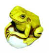 flip yellow.jpg (11410 bytes)