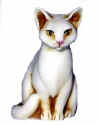 cat ivory.jpg (11594 bytes)
