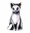 cat s blk.jpg (9866 bytes)