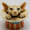 cat usa4.jpg (108298 bytes)