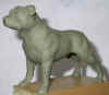dog.jpg (297861 bytes)
