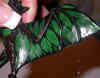 DSCN8472.JPG (83395 bytes)