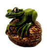 neils frog2.jpg (29624 bytes)