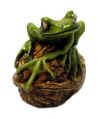 neils frog.jpg (29834 bytes)
