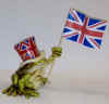 frog1.jpg (30432 bytes)