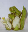 frog2.jpg (48621 bytes)