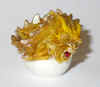 fuijiyellowgold.jpg (100026 bytes)