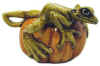 Frog On Pumpkin