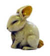 neil rabbit1.jpg (51142 bytes)
