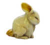 neil rabbit.jpg (50872 bytes)