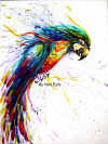parrot copy2.jpg (1024835 bytes)