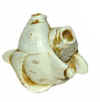 pisces ivory.jpg (11927 bytes)