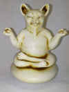 om cat3.jpg (92842 bytes)